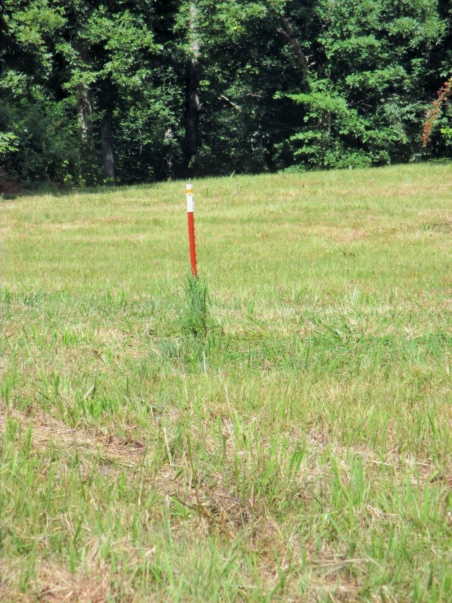 0 Spring Meadows Lane Morrison, TN 37357 - Photo 22 of 28 a view of a yard with potted plants and large trees