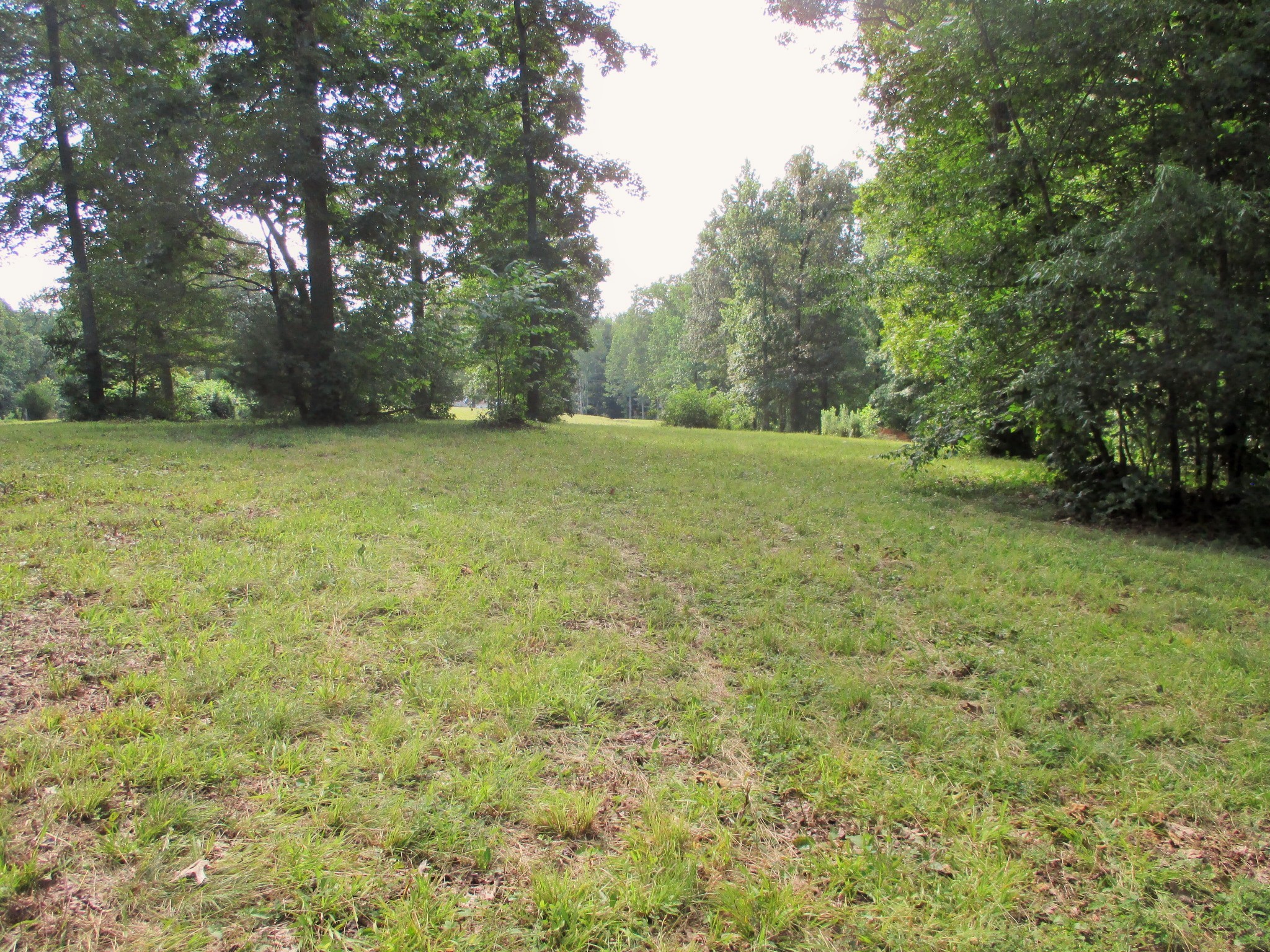 0 Spring Meadows Lane Morrison, TN 37357 - Photo 8 of 28 a view of a yard with a trees
