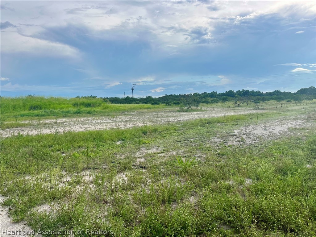 Hayman Road Wauchula, FL 33873 - Photo 7 of 8