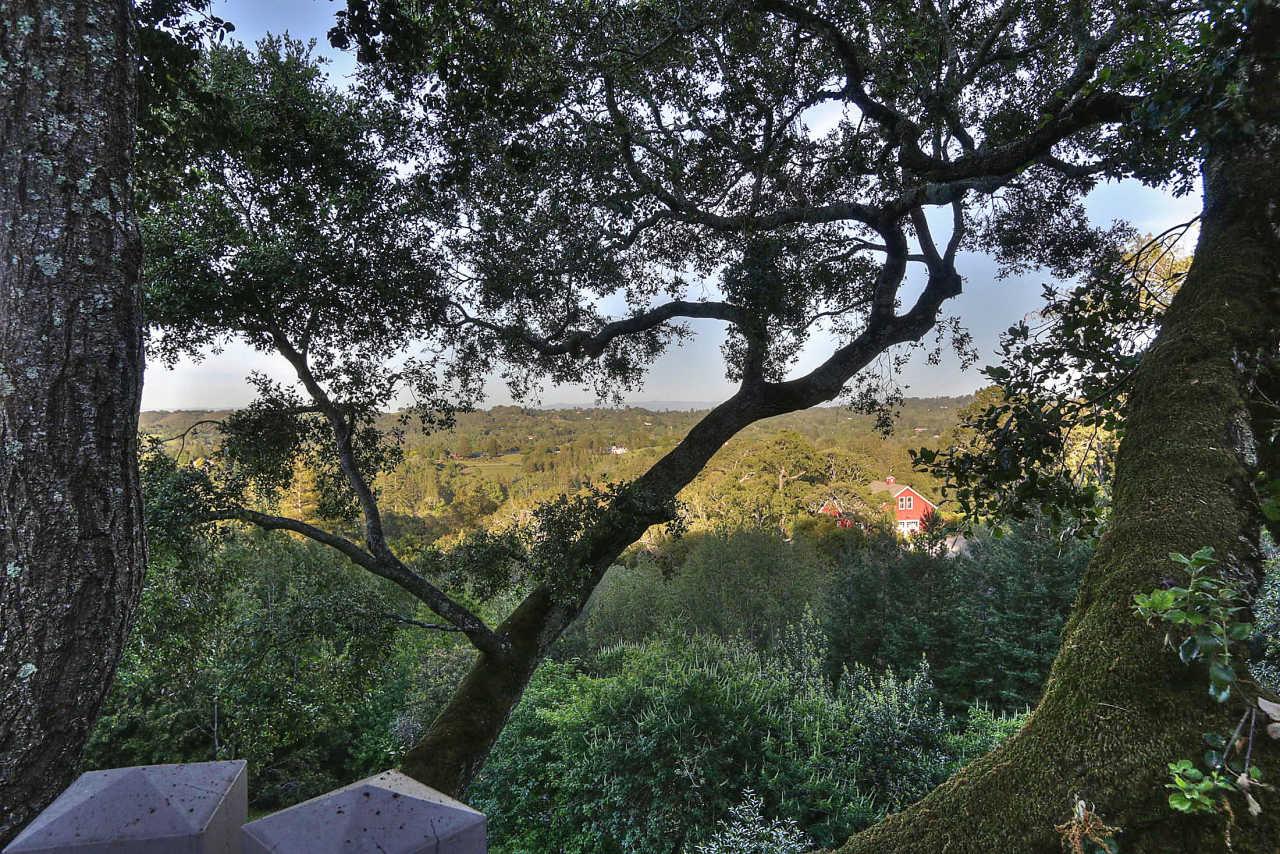 33 Montecito Road Woodside, CA 94062 - Photo 58 of 70 a view of mountain view with lots of trees