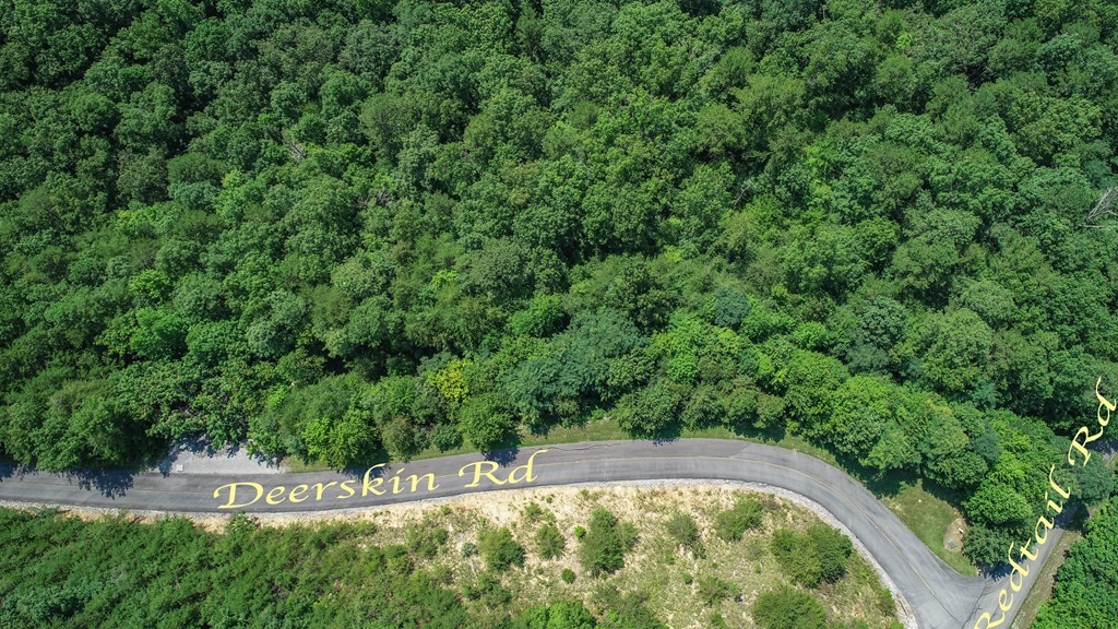 76 Redtail Road Sevierville, TN 37862 - Photo 19 of 23