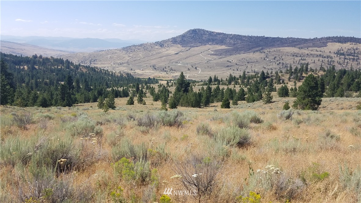 111 Reevas Basin Road Tonasket, WA 98855 - Photo 1 of 12 Gallery Image 1