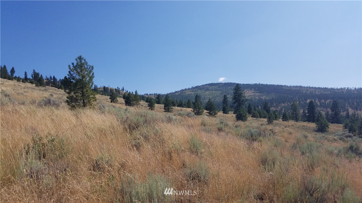 111 Reevas Basin Road Tonasket, WA 98855 - Photo 12 of 12 Gallery Image 12