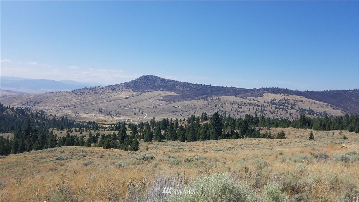 111 Reevas Basin Road Tonasket, WA 98855 - Photo 4 of 12 Gallery Image 4