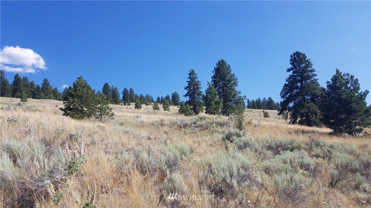 111 Reevas Basin Road Tonasket, WA 98855 - Photo 9 of 12 Gallery Image 9