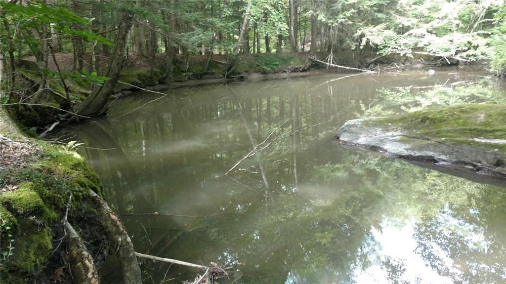 36 Flaggy Meadow Road Gorham, ME 04038 - Photo 18 of 22 Photo