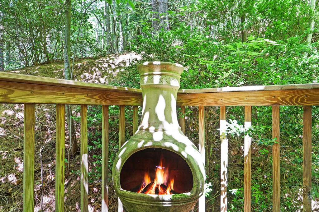 314 Wild Ridge Road Blairsville, GA 30512 - Photo 23 of 37 Gallery Image 23