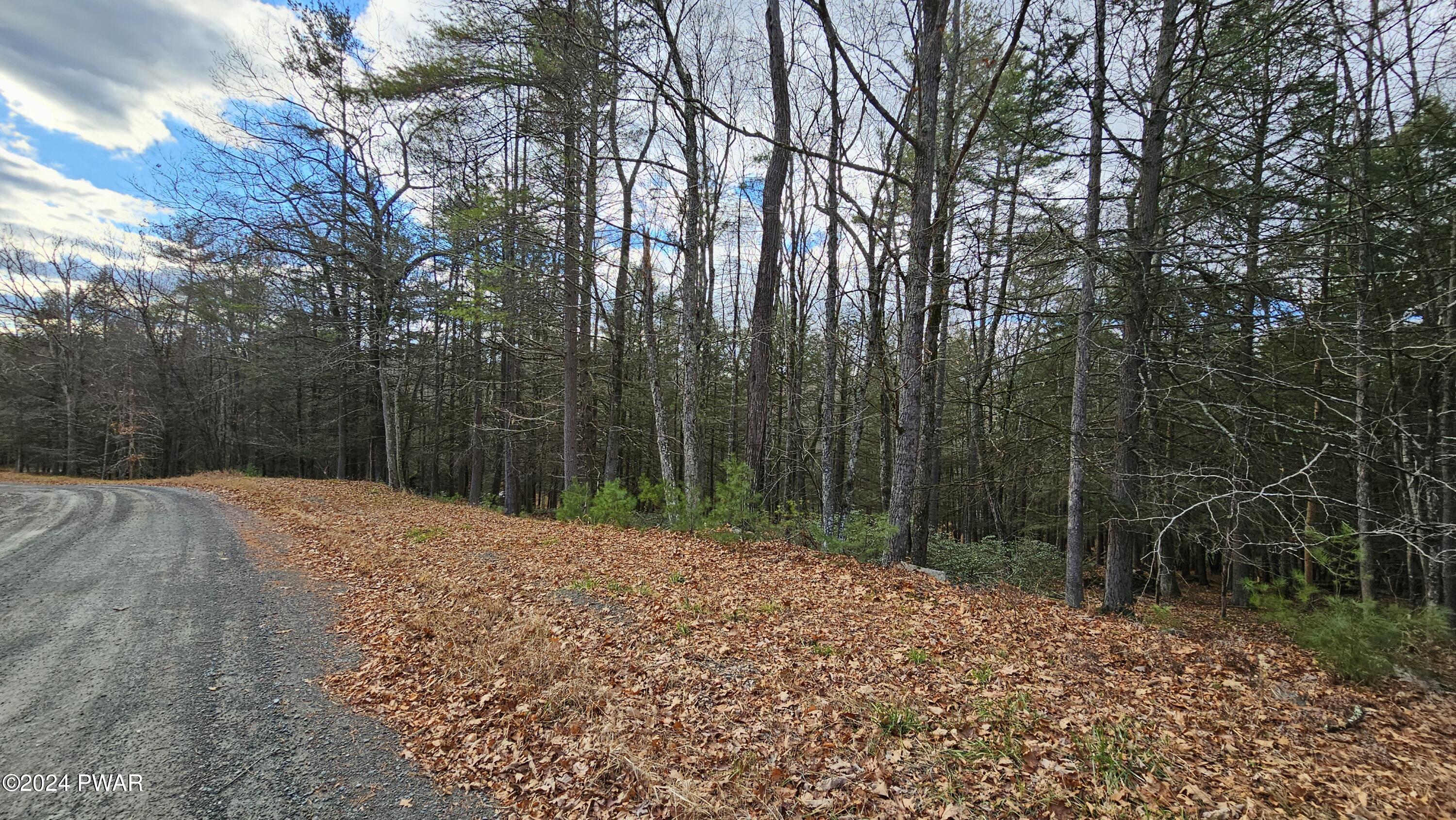 Lot 59 Perry Pond Road Narrowsburg, NY 12764 - Photo 2 of 14 20241111_140622