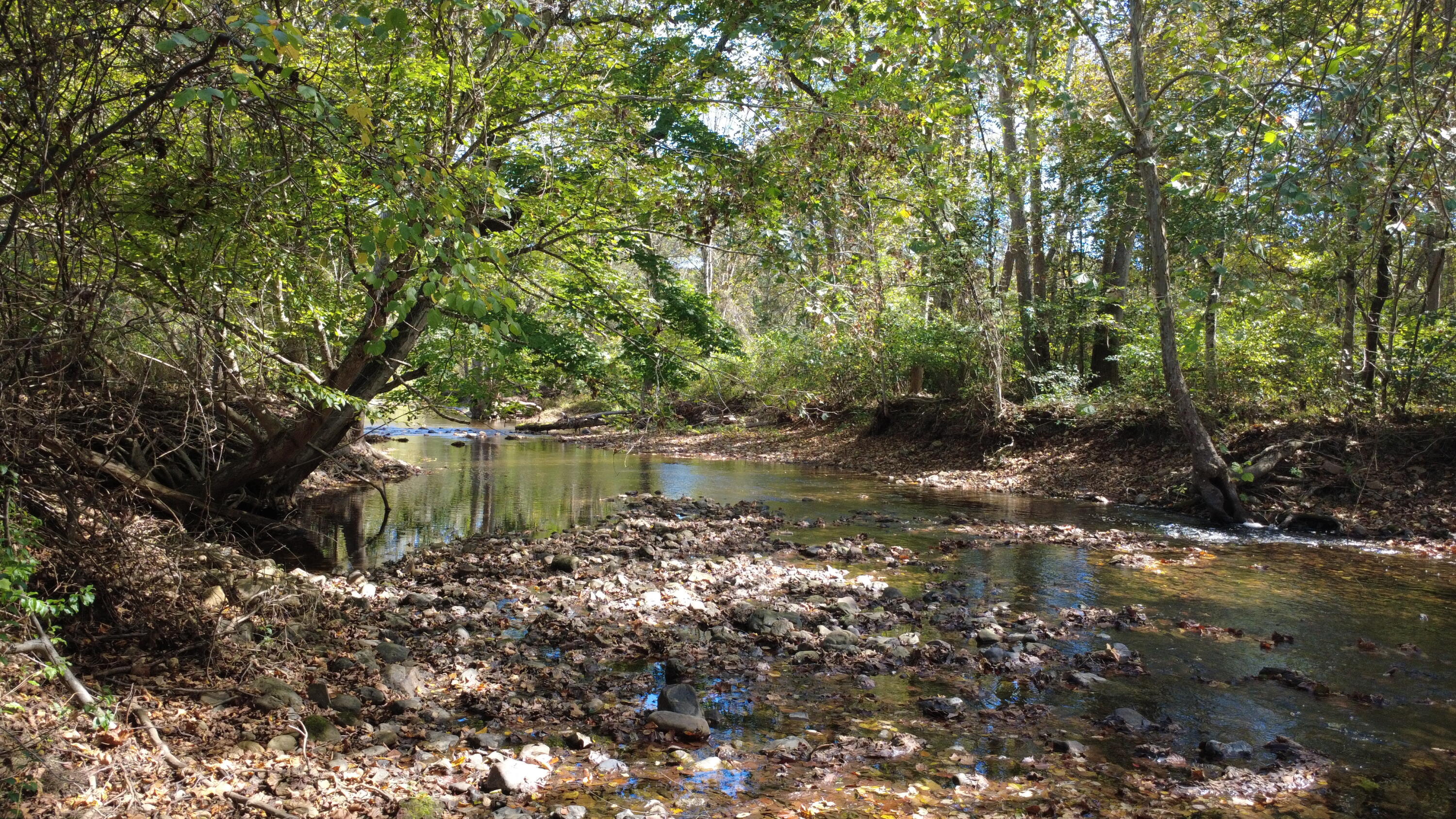 0 Potts Creek Road Covington, VA 24426 - Photo 3 of 15 creek