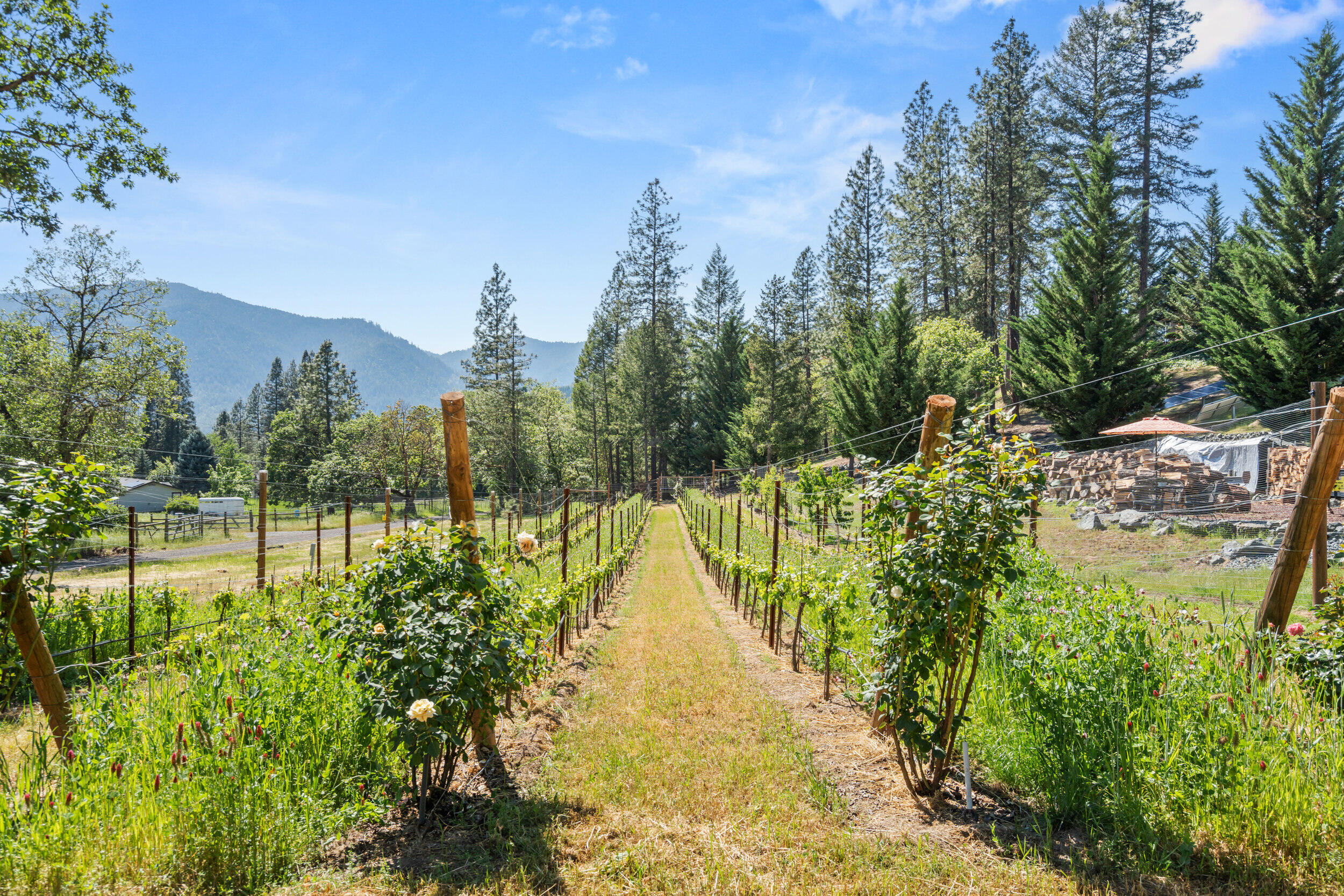 727 Earhart Road Rogue River, OR 97537 - Photo 23 of 116 20_ 727 earhart rd-19