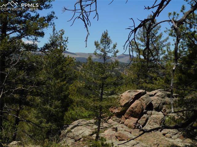 359 Pike View Road Florissant, CO 80816 - Photo 21 of 22