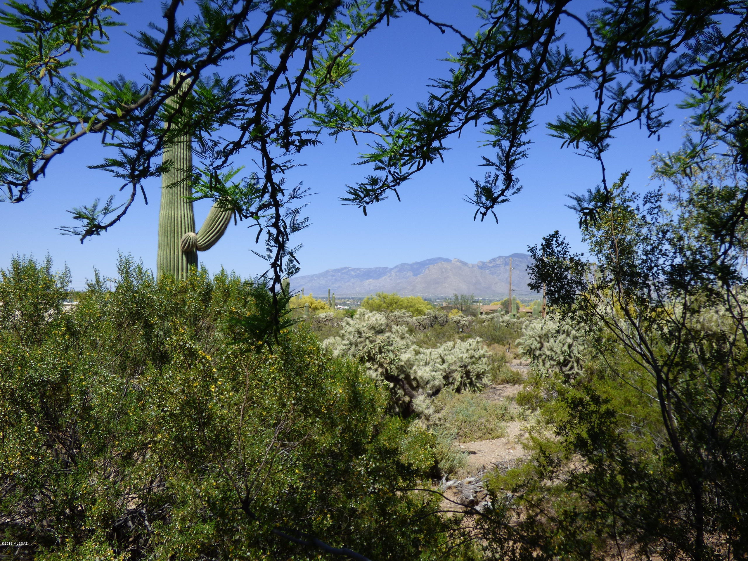 5671 West Sunset Road Tucson, AZ 85745 - Photo 34 of 49 Gallery Image 34