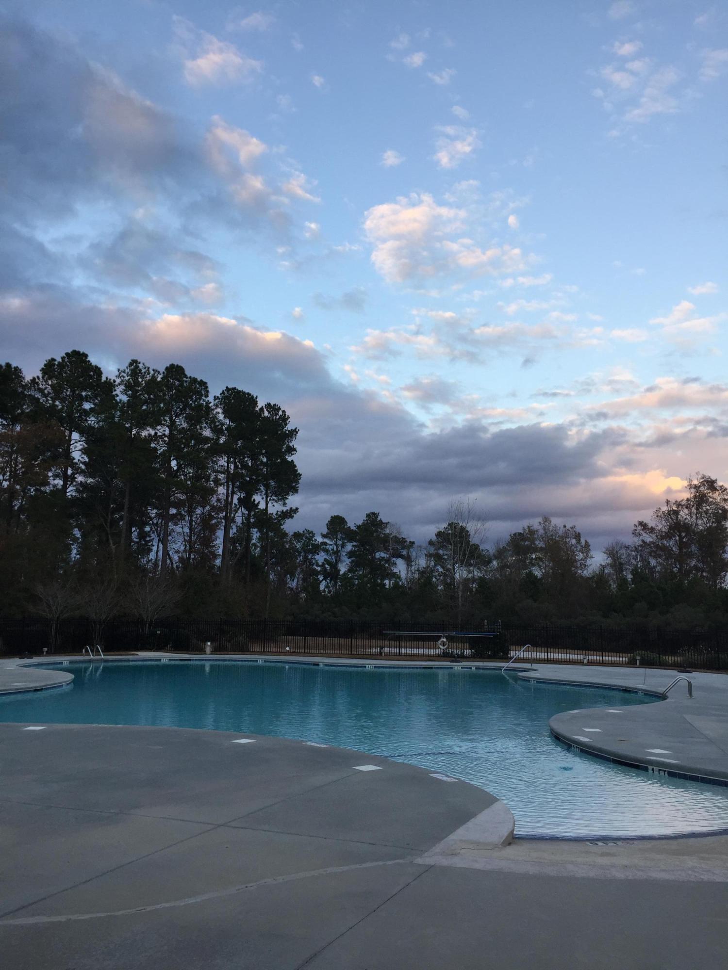 352 Flyway Road Goose Creek, SC 29445 - Photo 21 of 26 IMG_4948