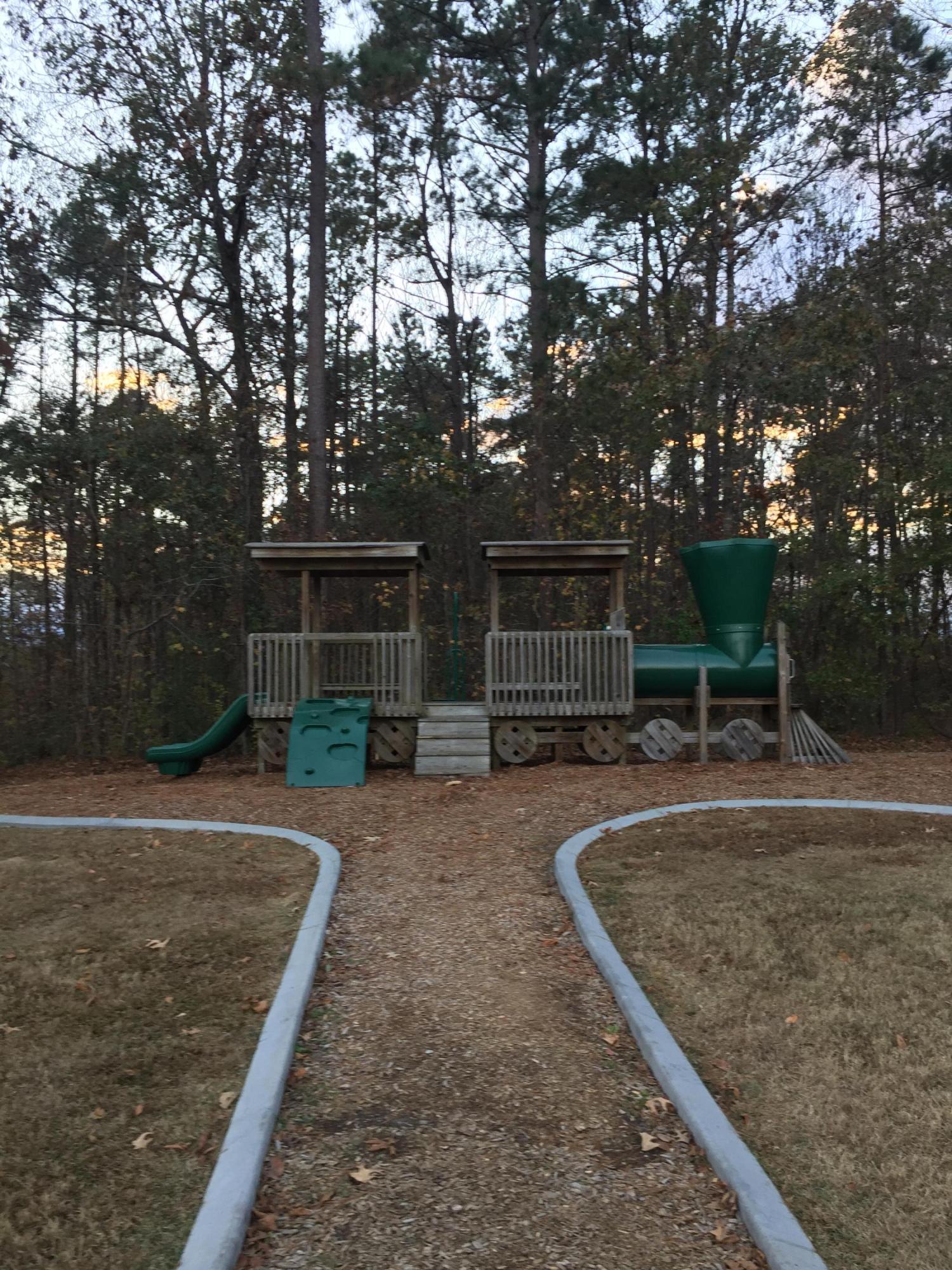 352 Flyway Road Goose Creek, SC 29445 - Photo 24 of 26 IMG_4950