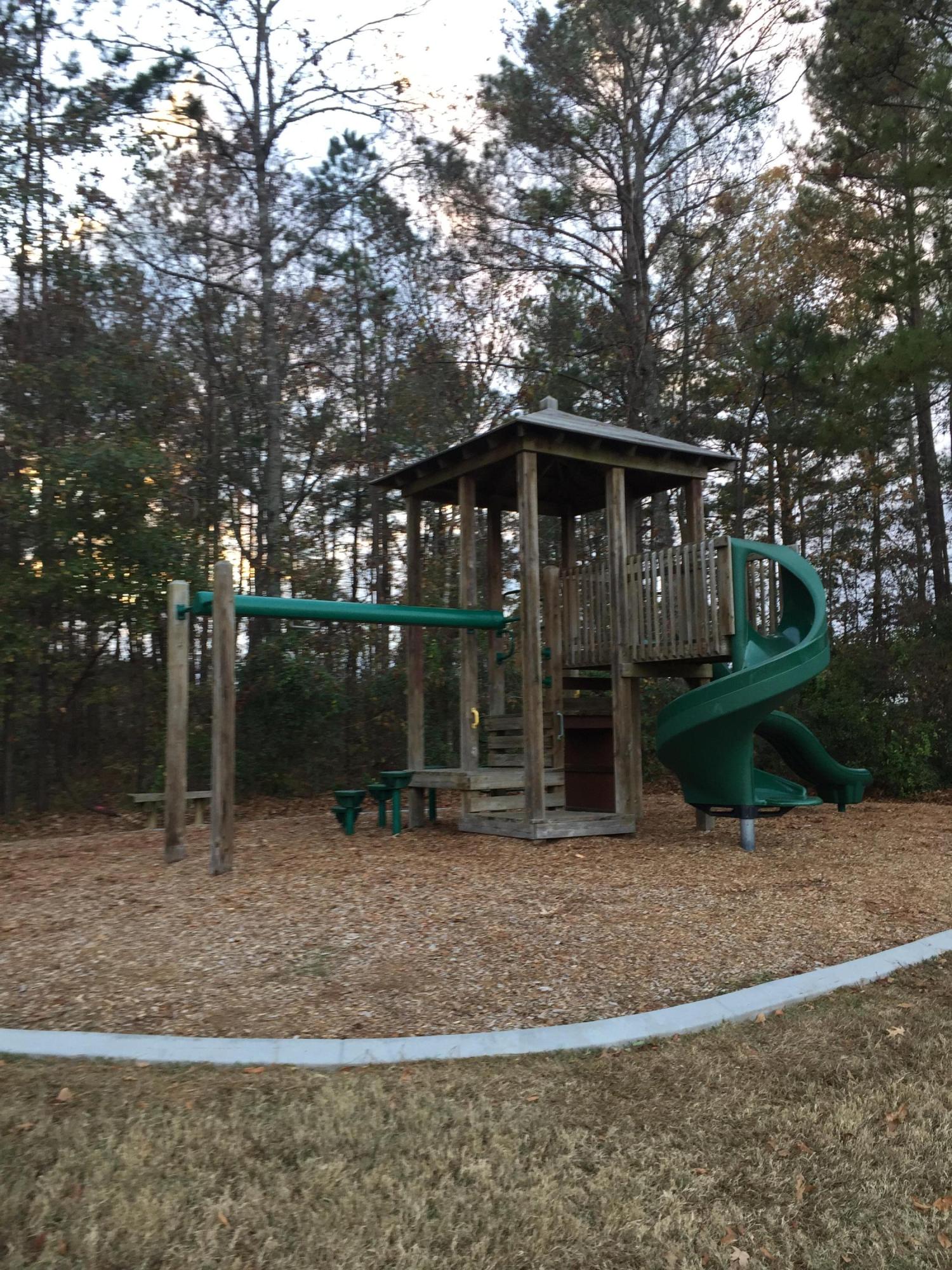 352 Flyway Road Goose Creek, SC 29445 - Photo 25 of 26 IMG_4951