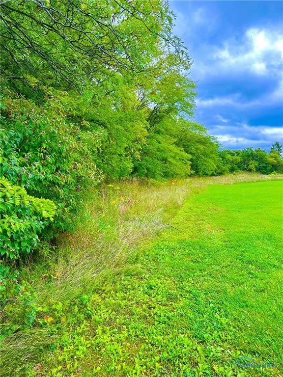 10000 Brint Road Berkey, OH 43504 - Photo 19 of 19 Gallery Image 19