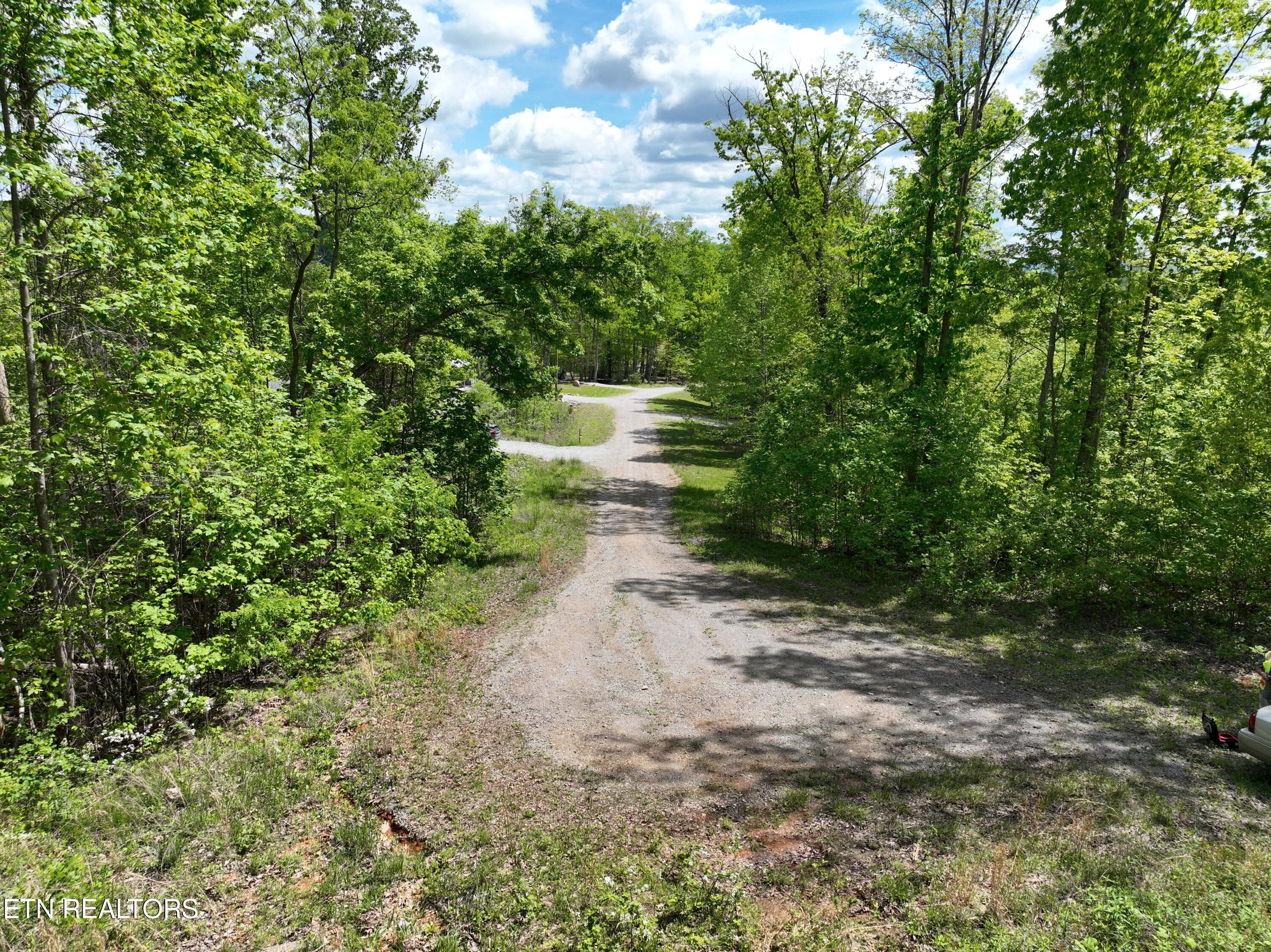 Lower Eagles Nest Road Crab Orchard, TN 37723 - Photo 11 of 18 Lot 7 Lower's Eagles Nest pic 11-min