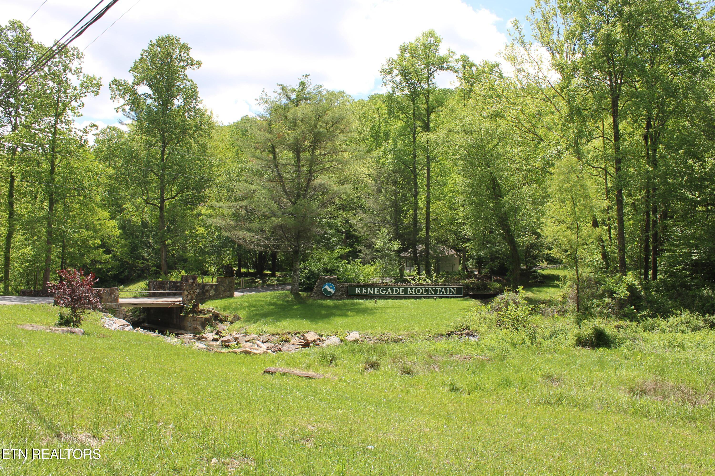 Lower Eagles Nest Road Crab Orchard, TN 37723 - Photo 15 of 18 Lot 7 Lower's Eagles Nest pic 16-min