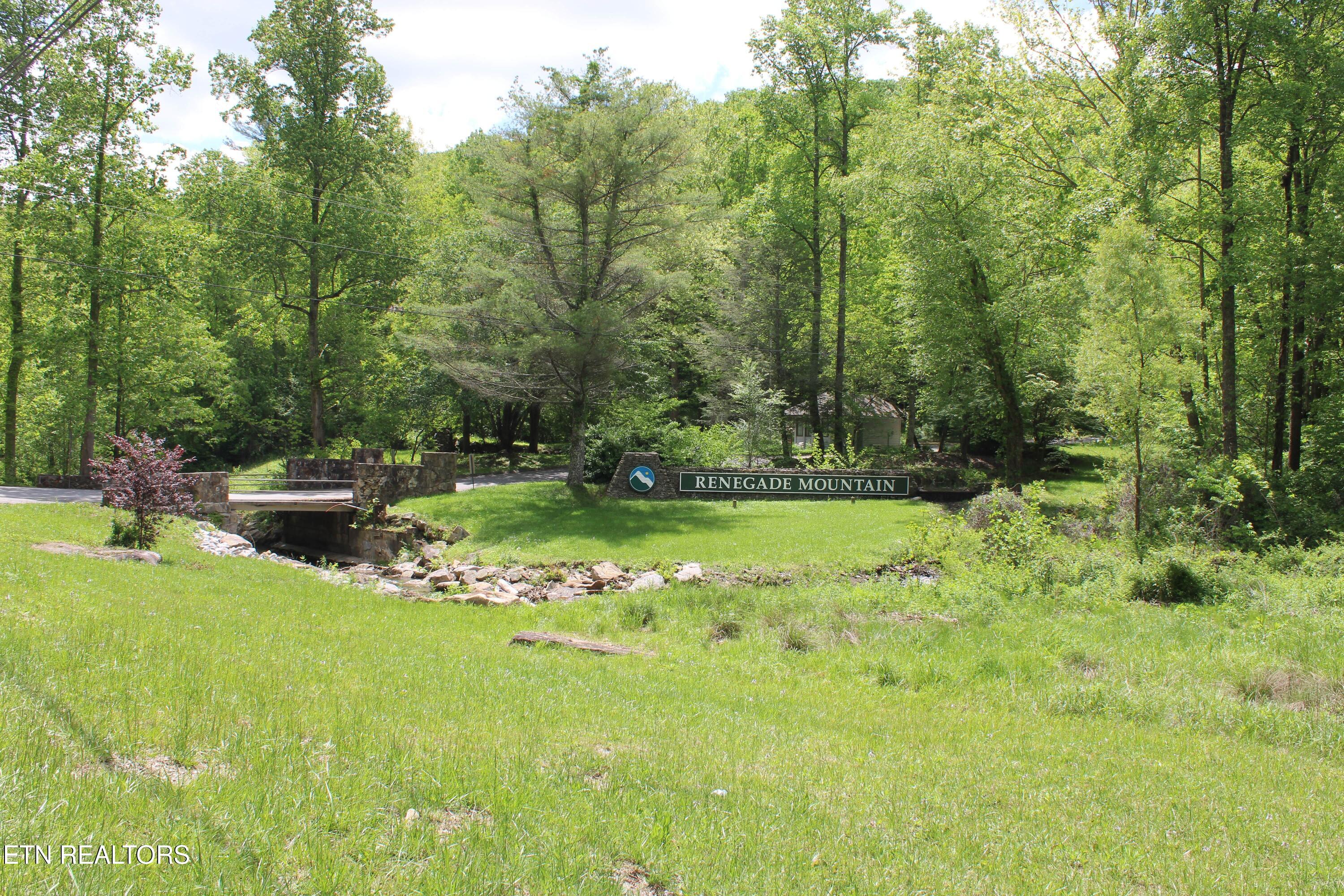 Lower Eagles Nest Road Crab Orchard, TN 37723 - Photo 18 of 18 Lot 7 Lower's Eagles Nest pic 18-min