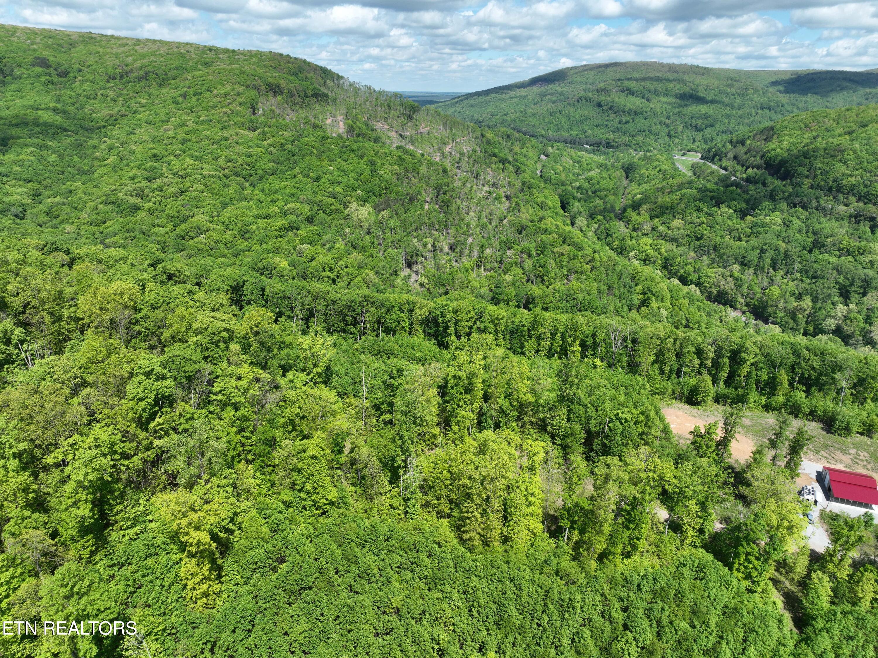 Lower Eagles Nest Road Crab Orchard, TN 37723 - Photo 3 of 18 Lot 7 Lower's Eagles Nest pic 20-min