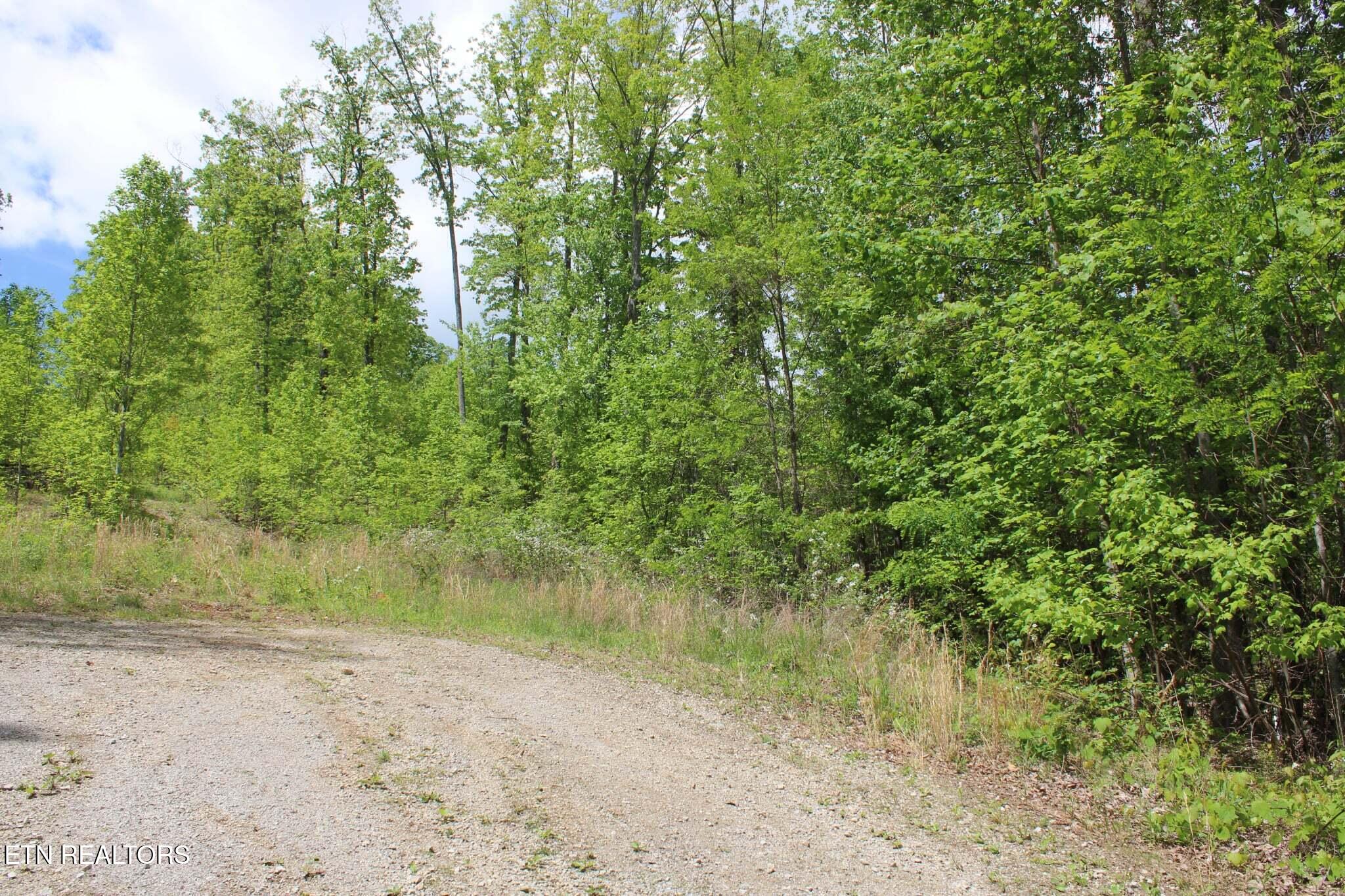 Lower Eagles Nest Road Crab Orchard, TN 37723 - Photo 5 of 18 Lower Eagles Nest Lot 7 pic 1