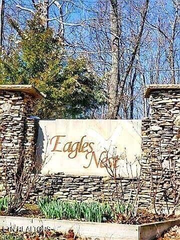 Lower Eagles Nest Road Crab Orchard, TN 37723 - Photo 9 of 18 Lot 7 Lower's Eagles Nest pic 3
