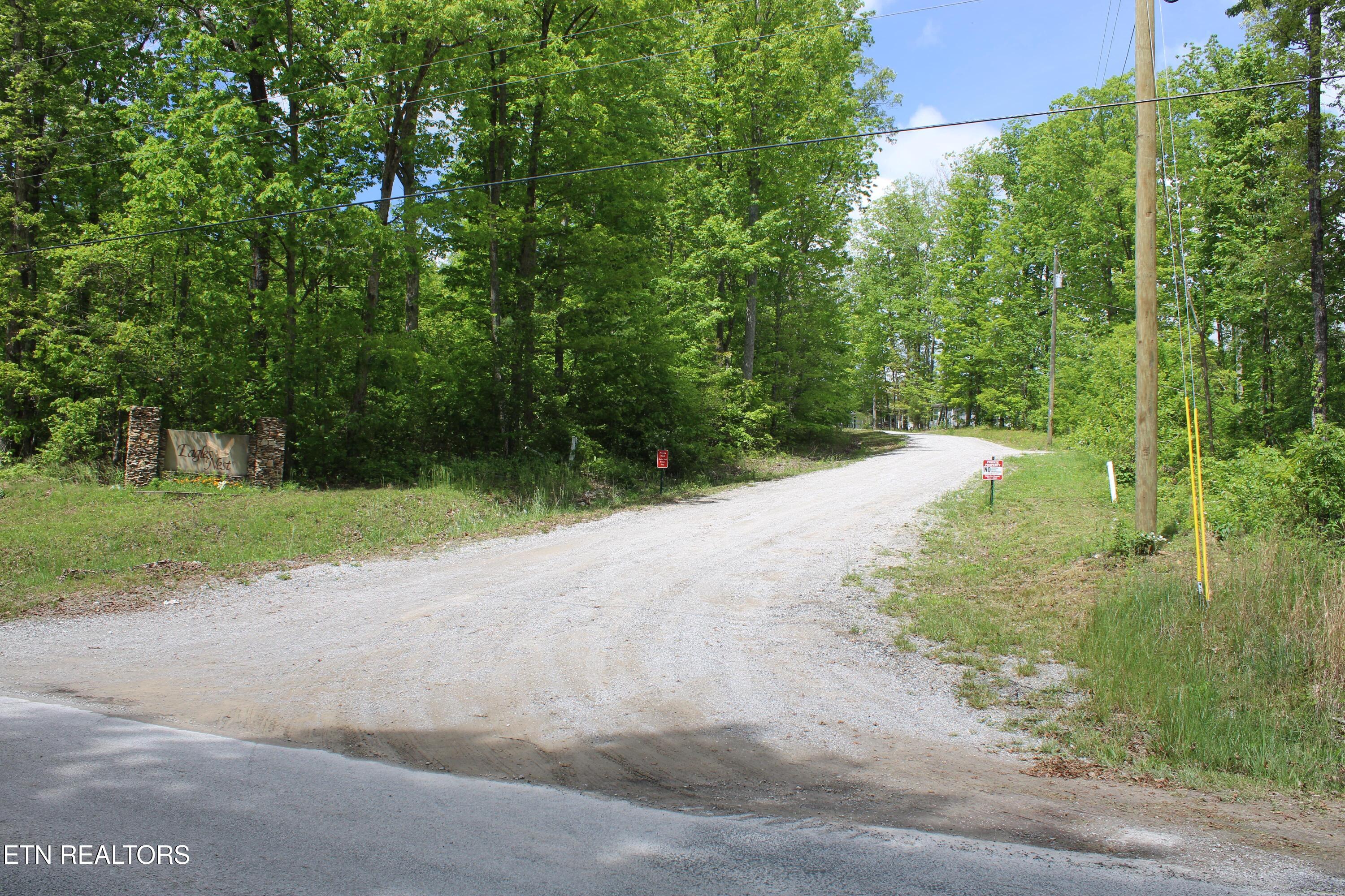 Lower Eagles Nest Road Crab Orchard, TN 37723 - Photo 10 of 18 Lot 7 Lower's Eagles Nest pic 12-min