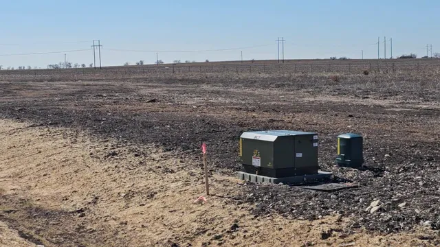 a view of a dry yard