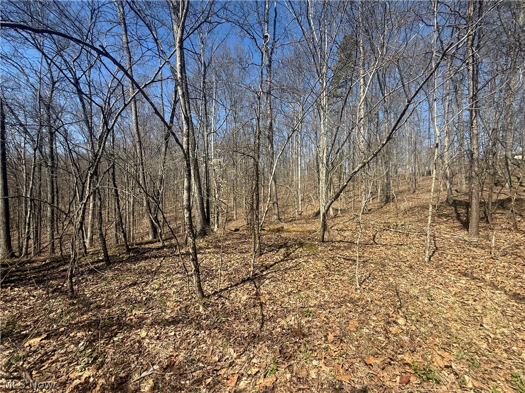 1137 Cain Road Big Bend, WV 26136 - Photo 19 of 31