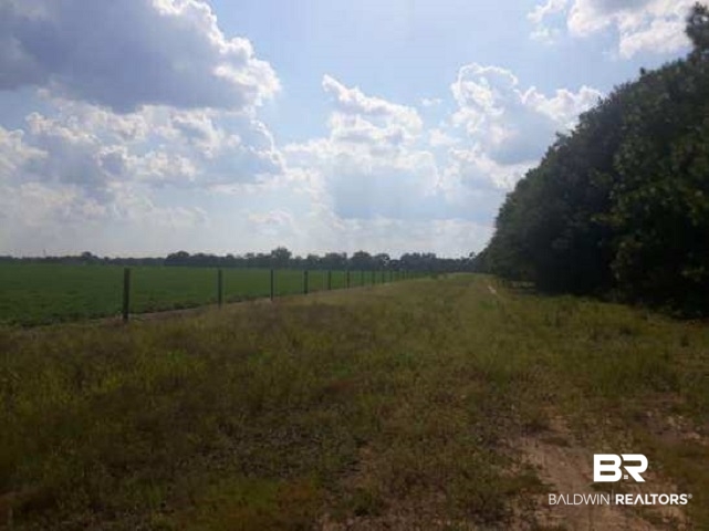 B B Penton Road Milton, FL 32570 - Photo 3 of 6
