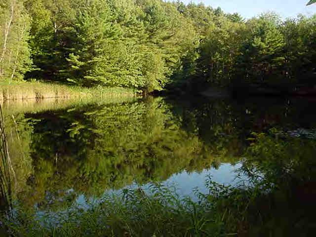 239 Abbott Hill Road Chester, MA 01011 - Photo 5 of 8