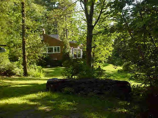 239 Abbott Hill Road Chester, MA 01011 - Photo 8 of 8 a view of a garden with large trees