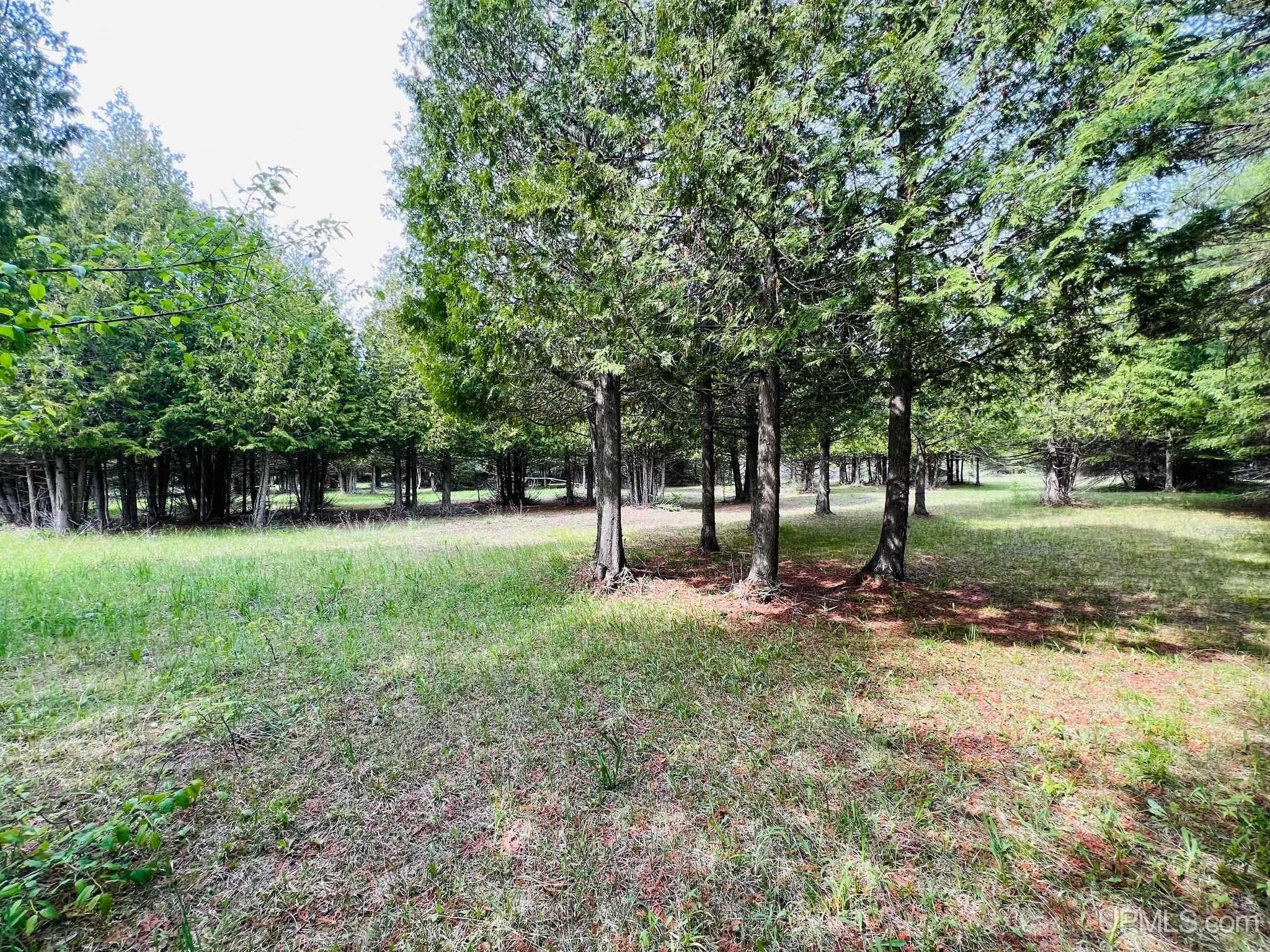 1110 Town Line Road Gulliver, MI 49840 - Photo 14 of 60 Gallery Image 14