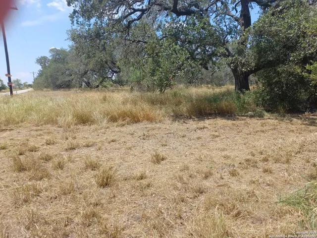 a view of a dry yard with green space