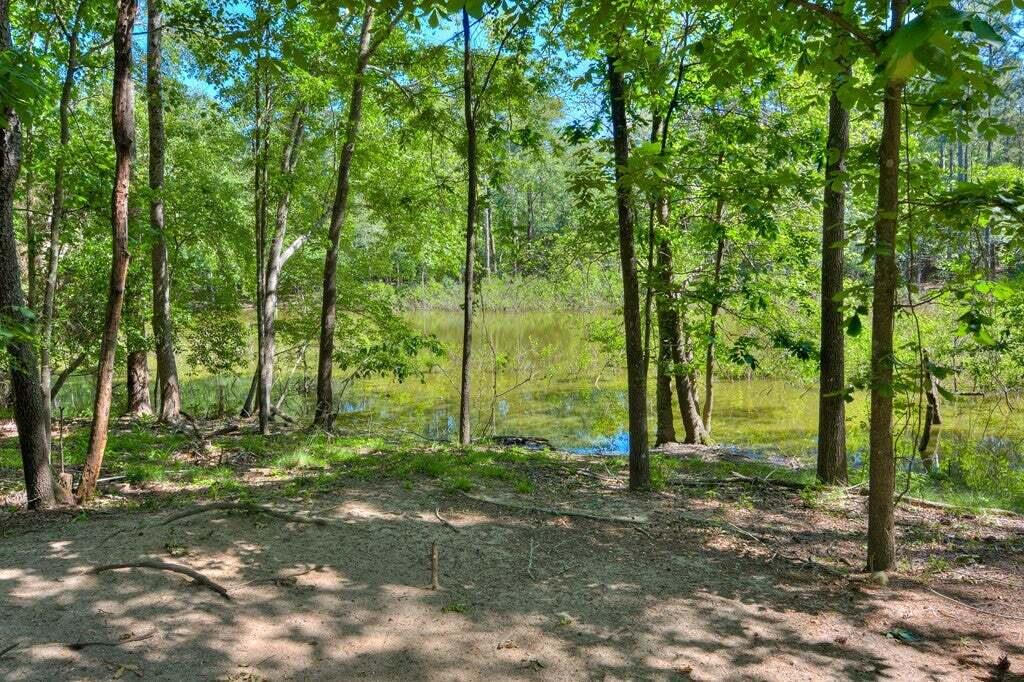 354 Hoover Road Salley, SC 29137 - Photo 49 of 56 38