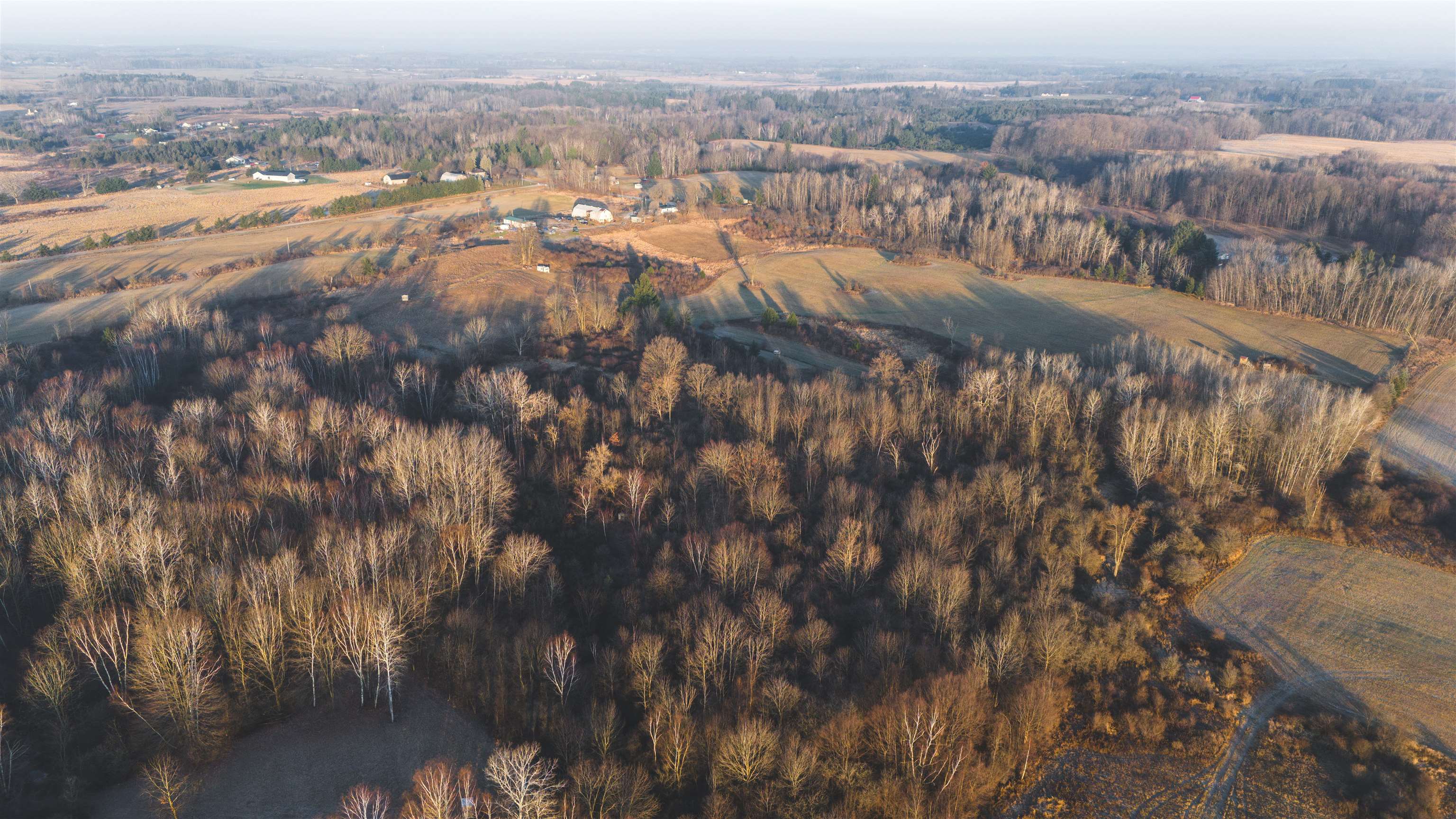 Four 4 Mile Road Evart, MI 49631 - Photo 3 of 38