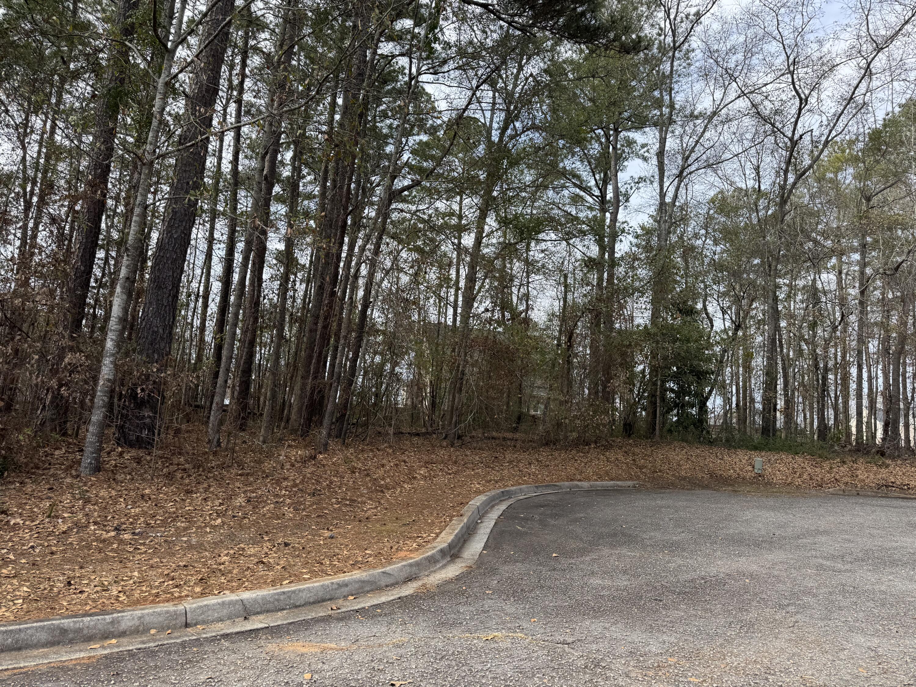 5 Fern Drive Orangeburg, SC 29118 - Photo 1 of 1 IMG_7349