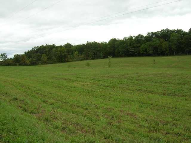 3 Lick Springs Road Argyle, NY 12809 - Photo 3 of 6 Photo 3