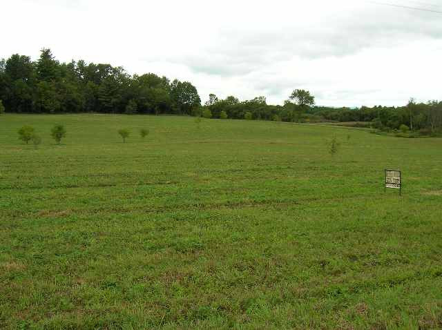 3 Lick Springs Road Argyle, NY 12809 - Photo 4 of 6 Photo 4