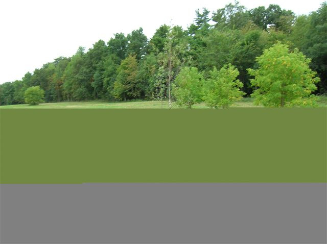 3 Lick Springs Road Argyle, NY 12809 - Photo 6 of 6 Photo 6