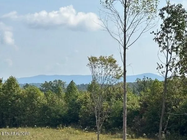 a view of a lake