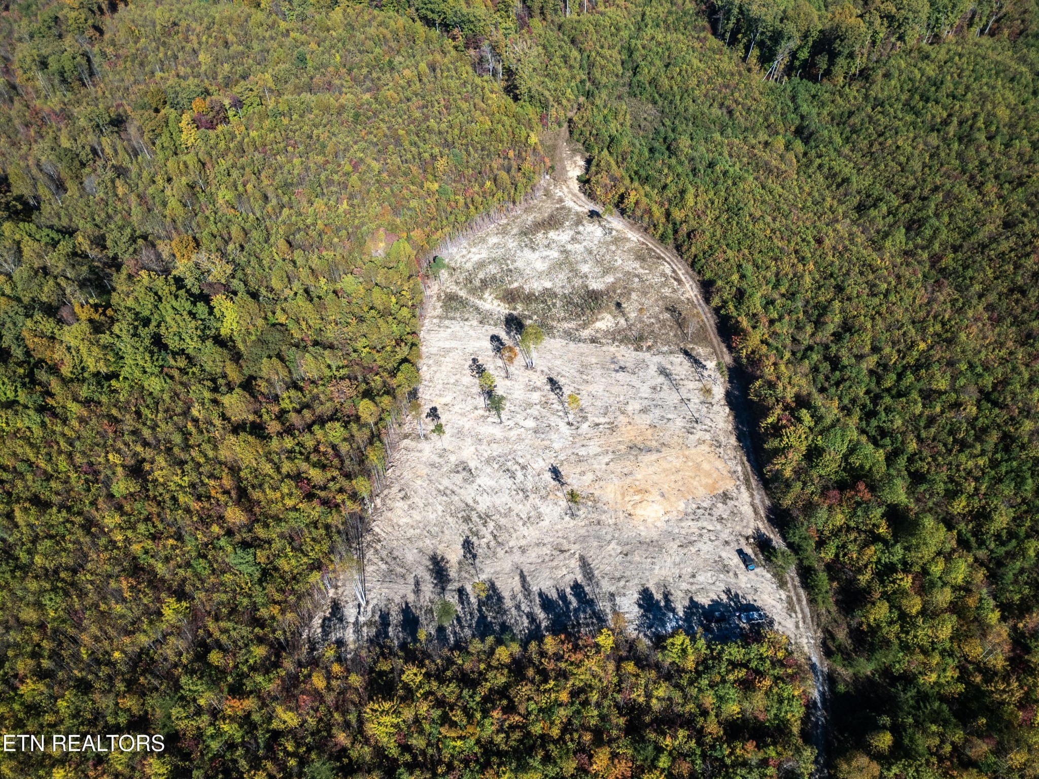 0 Otis Davis Road Pikeville, TN 37367 - Photo 14 of 14 a view of a garden with a tree