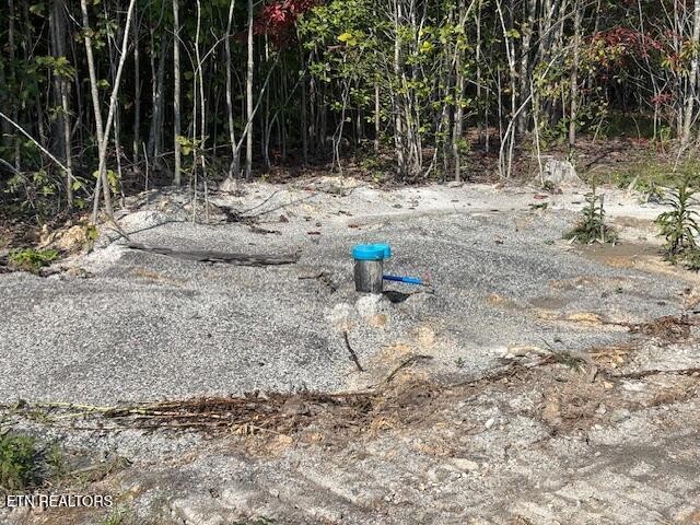 0 Otis Davis Road Pikeville, TN 37367 - Photo 5 of 14 a view of a dry yard with trees