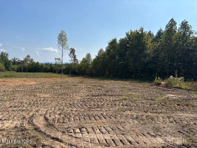 0 Otis Davis Road Pikeville, TN 37367 - Photo 6 of 14 a view of lake