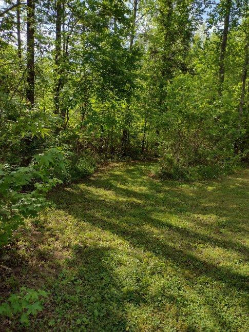 485 Winter Road Greenville, GA 30222 - Photo 17 of 38 Gallery Image 17
