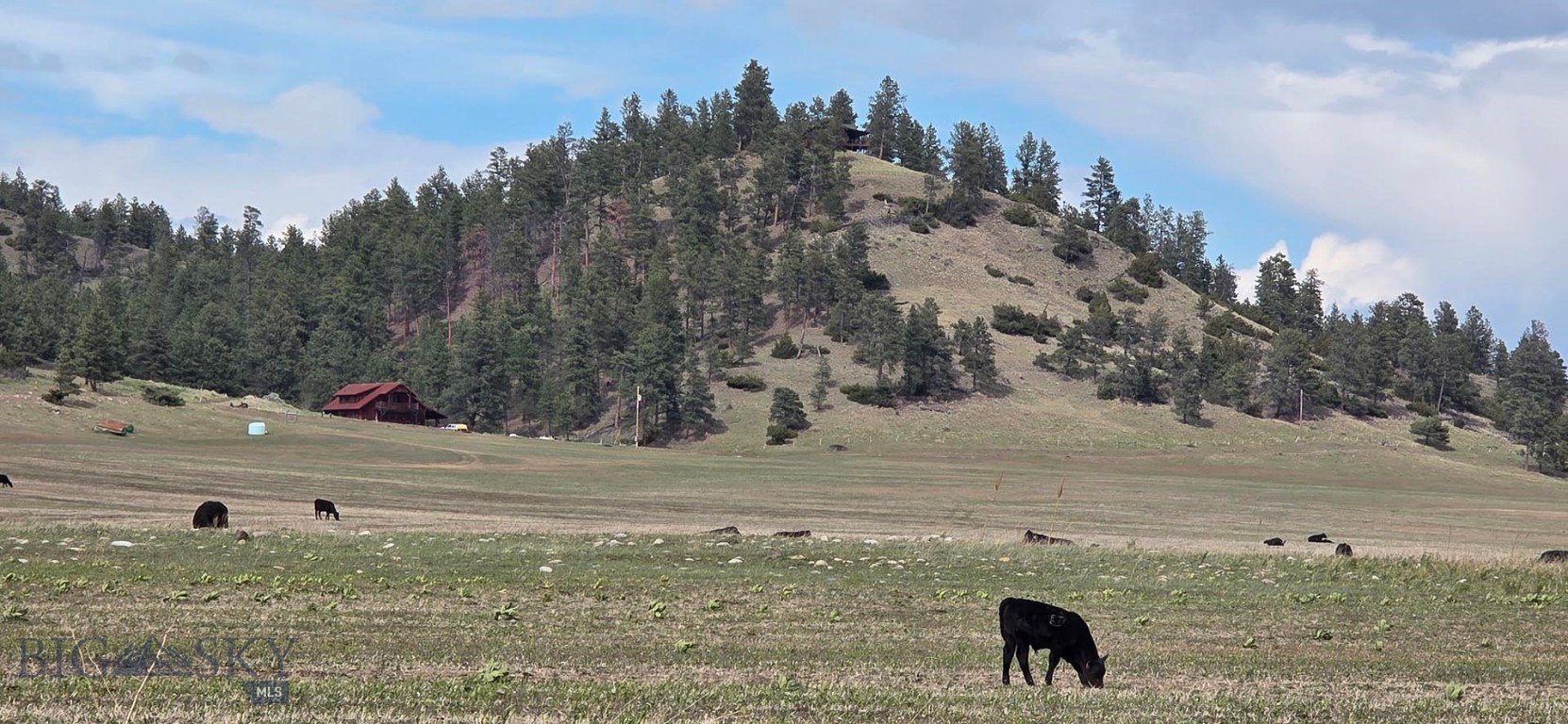 215 Shank Basin West Road Reed Point, MT 59069 - Photo 17 of 42 Gallery Image 17