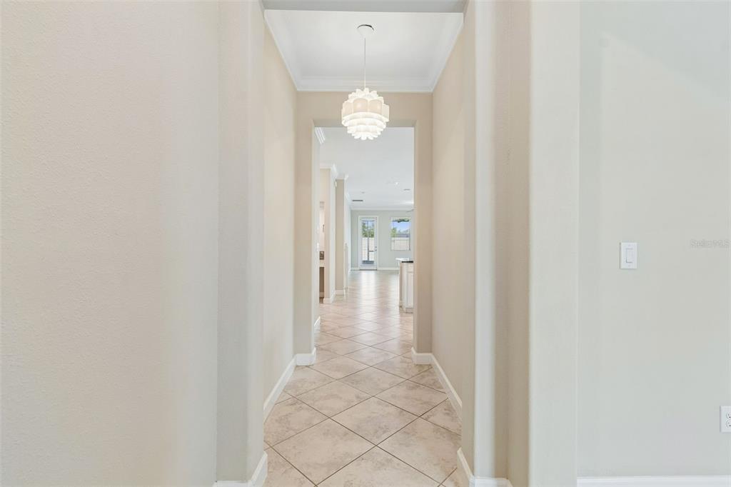 25057 Lambrusco Loop Lutz, FL 33559 - Photo 5 of 50