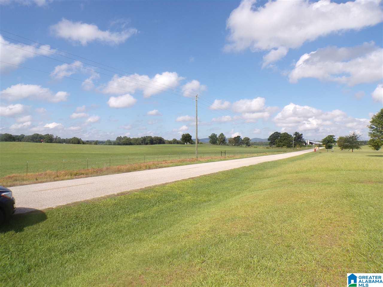 0 Arco Dairy Road, Unit 9 Alpine, AL 35014 - Photo 3 of 4
