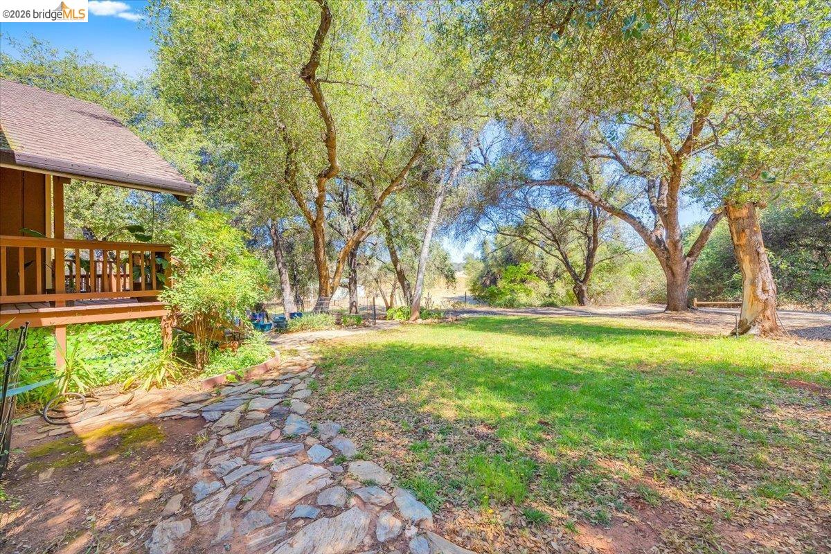 8733 Fraguero Road Sonora, CA 95370 - Photo 12 of 73 Expansive outdoor space featuring a stone pathway, verdant lawn, mature trees, and a private wooden deck with railing