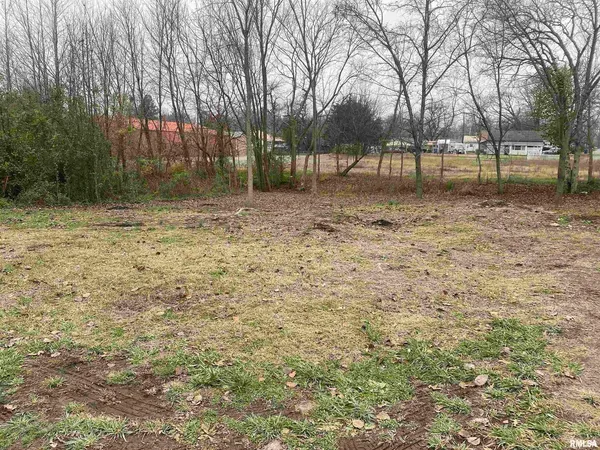 a view of backyard with green space